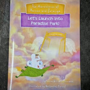 Lets Launch into Paradise Park